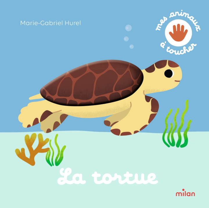 Kniha La tortue 