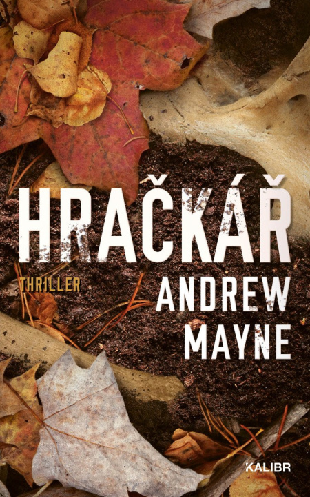 Kniha Hračkář Andrew Mayne