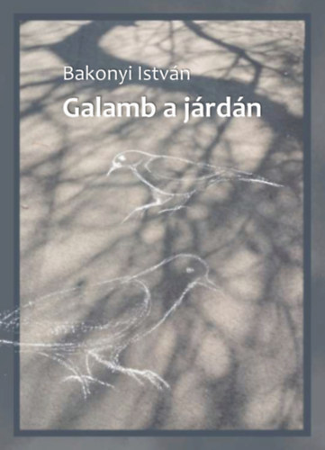 Kniha Galamb a járdán Bakonyi István