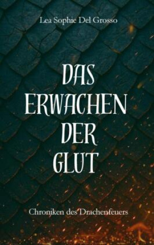 Книга Das Erwachen der Glut Lea Sophie Del Grosso