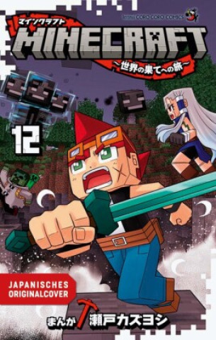 Kniha Minecraft 12 Kazuyoshi Seto