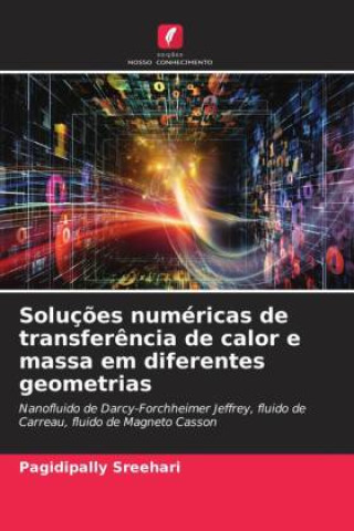 Knjiga Soluções numéricas de transferência de calor e massa em diferentes geometrias Pagidipally Sreehari