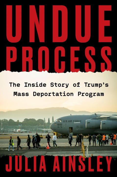 Buch UNDUE PROCESS AINSLEY JULIA