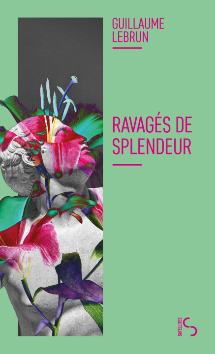 Buch Ravagés de splendeur Lebrun