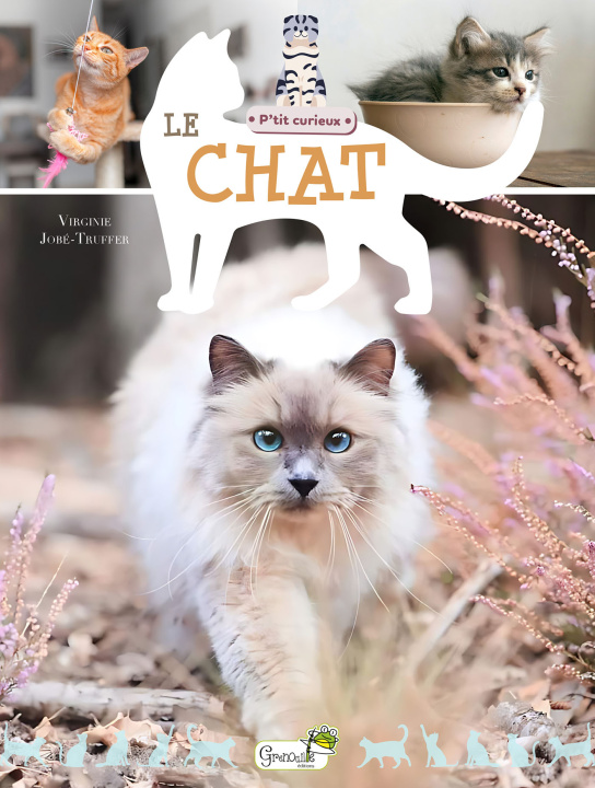Kniha Le chat JOBE-TRUFFER