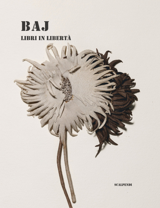 Βιβλίο Baj. Libri in libertà Michele Tavola