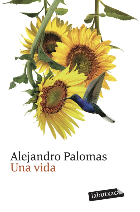 Kniha Vida, una Alejandro Palomas