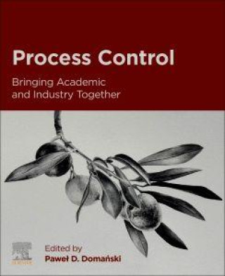 Kniha Process Control Paweł D. Domański