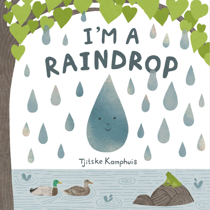 Kniha I'm a Raindrop Tjitske Kamphuis