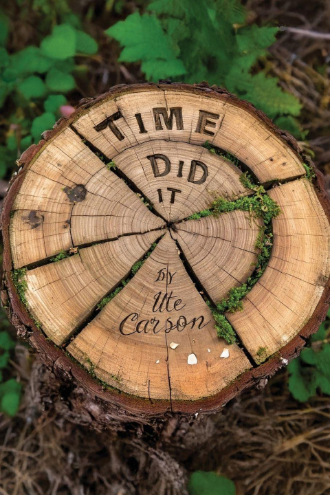 Kniha Time Did It Ute Carson