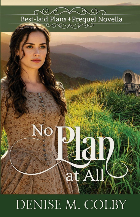 Kniha No Plan at All Denise M. Colby
