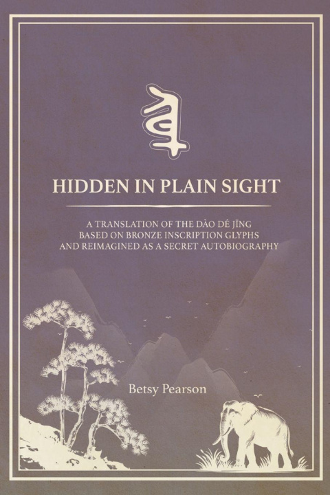 Kniha Hidden in Plain Sight Betsy Pearson