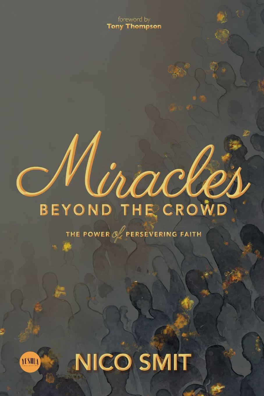 Kniha Miracles Beyond The Crowd Nico Smit