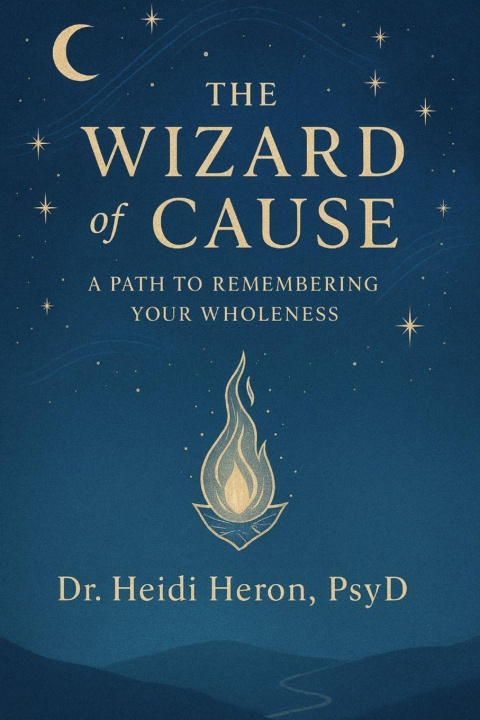 Βιβλίο The Wizard of Cause Heidi Heron