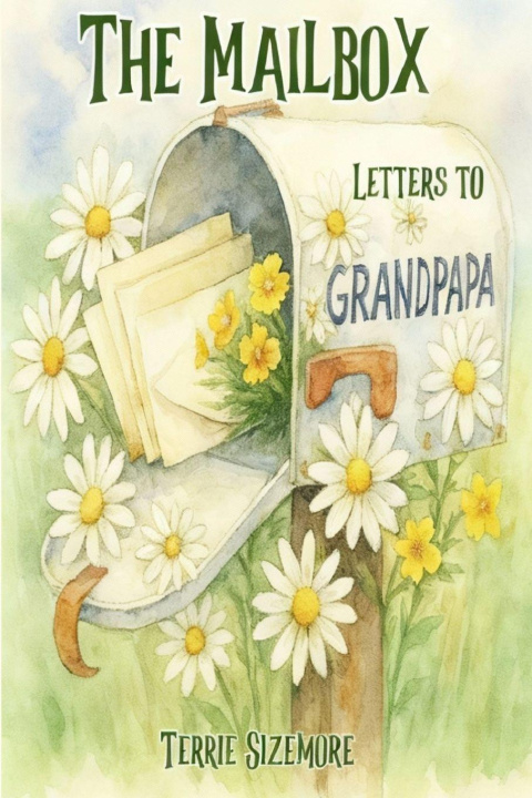 Kniha The Mailbox Terrie Sizemore