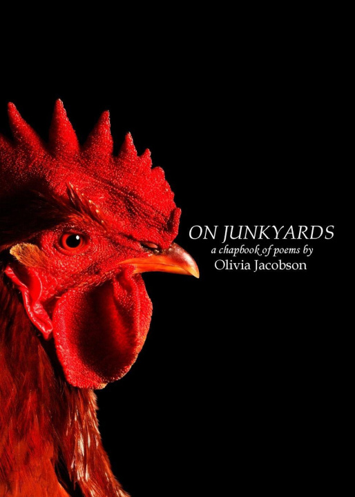 Kniha On Junkyards Olivia Jacobson