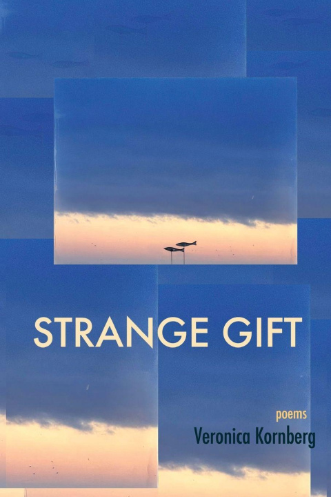 Kniha Strange Gift Veronica Kornberg