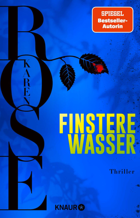 Kniha Finstere Wasser Andrea Brandl