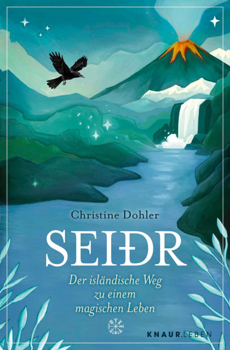 Kniha Seiðr Christine Dohler