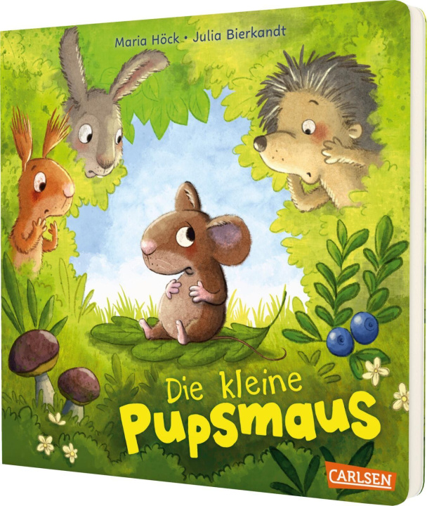 Kniha Die kleine Pupsmaus Julia Bierkandt