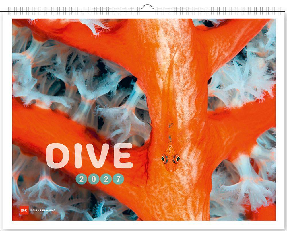 Kalendář/Diář Dive 2027 