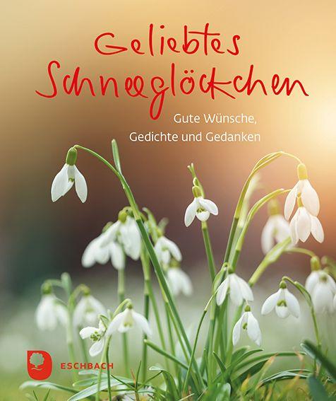 Kniha Geliebtes Schneeglöckchen 