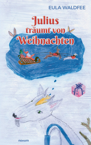 Book Julius träumt von Weihnachten Eula Waldfee