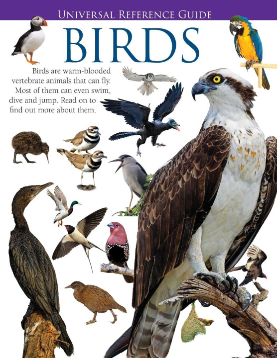 Kniha Universal Reference Guide - BIRDS Jason Luke Starr