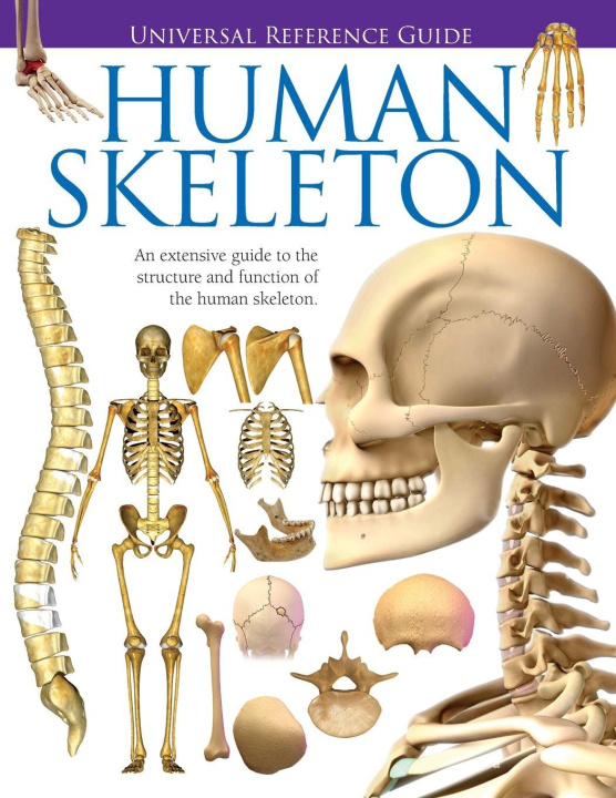 Knjiga Universal Reference Guide - HUMAN SKELETON Jason Luke Starr