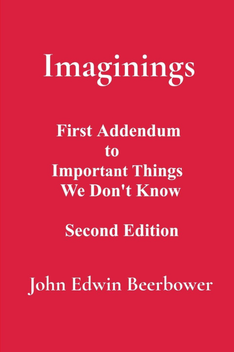 Kniha Imaginings John Edwin Beerbower