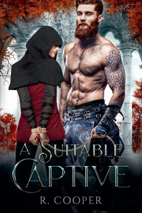 Kniha A Suitable Captive R. Cooper
