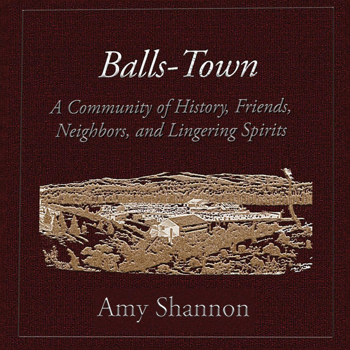 Kniha Balls-Town Amy C Shannon