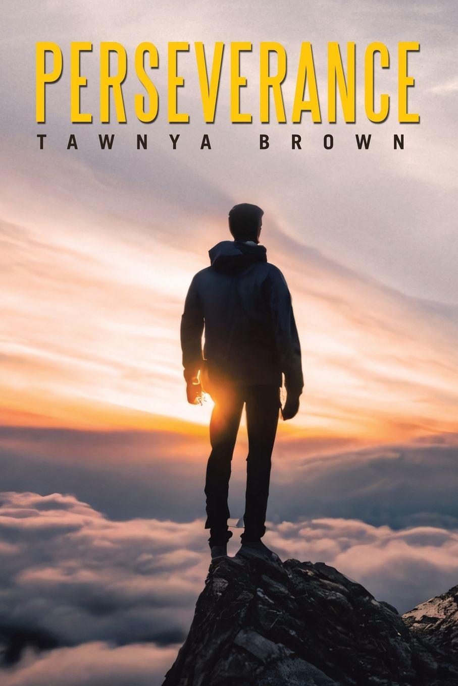 Kniha Perseverance Tawnya Brown