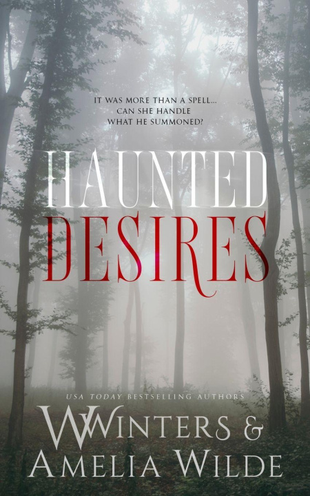 Kniha Haunted Desires Amelia Wilde