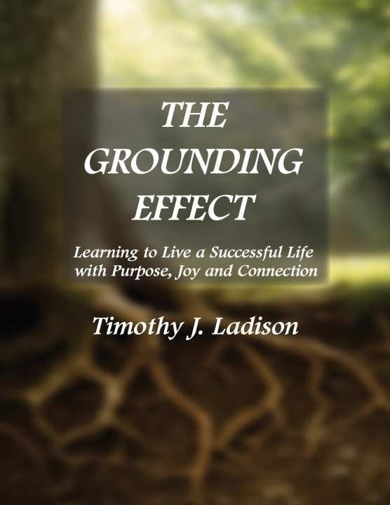 Knjiga The Grounding Effect Timothy J. Ladison