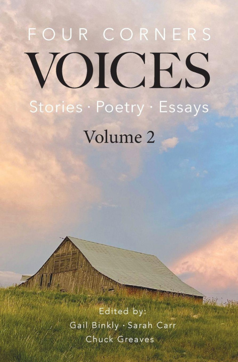 Kniha Four Corners Voices Sara Carr