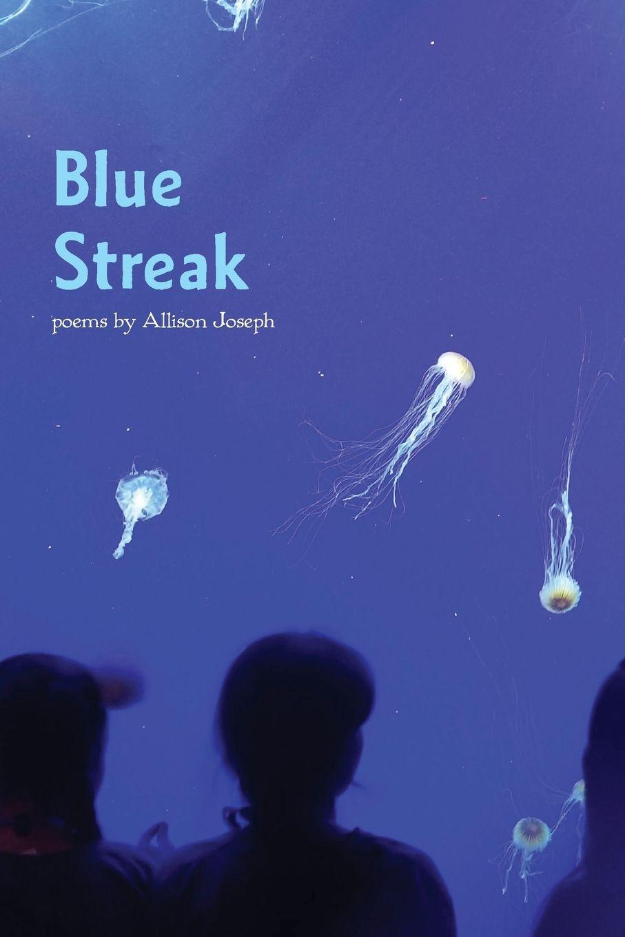 Kniha Blue Streak Allison Joseph