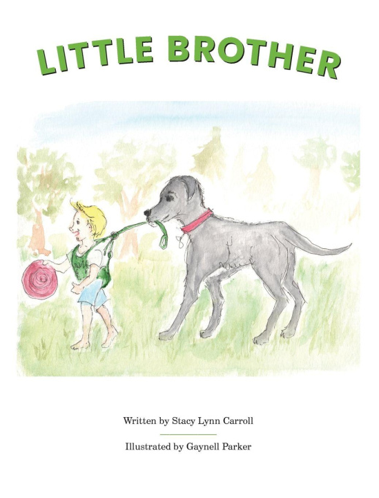 Kniha Little Brother Stacy Lynn Carroll