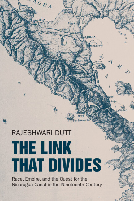 Kniha The Link That Divides Rajeshwari Dutt