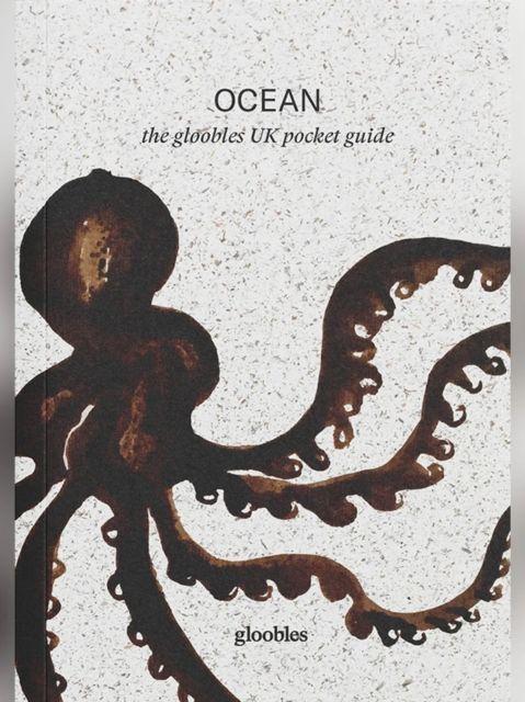 Knjiga OCEAN Stephanie Van Rappard