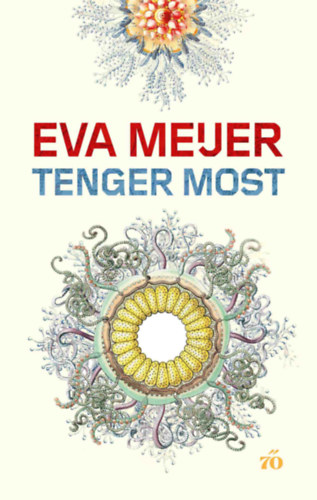 Kniha Tenger Most Eva Meijer