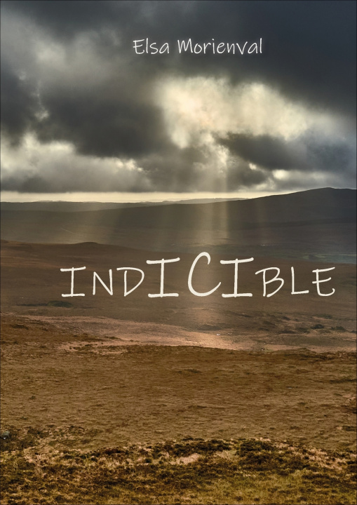 Kniha Indicible Morienval