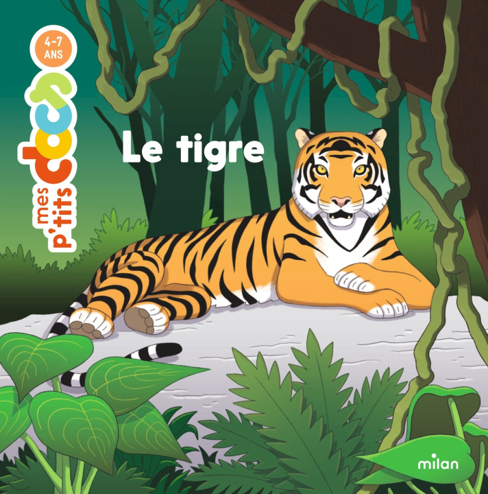 Kniha Le tigre Stéphanie Ledu