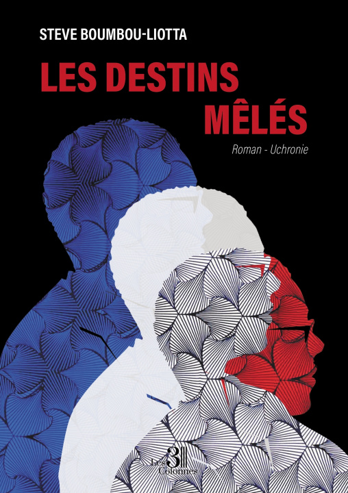 Kniha Les destins mêlés Steve BOUMBOU-LIOTTA