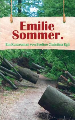 Kniha EMILIE SOMMER. Eveline Christina Egli