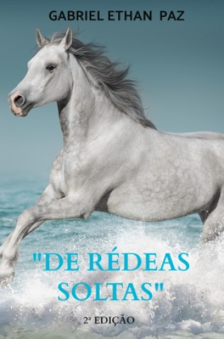 Kniha "De rédeas soltas" Gabriel Ethan Paz