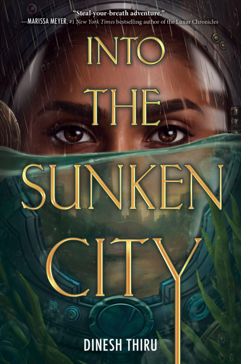 Книга INTO THE SUNKEN CITY THIRU DINESH