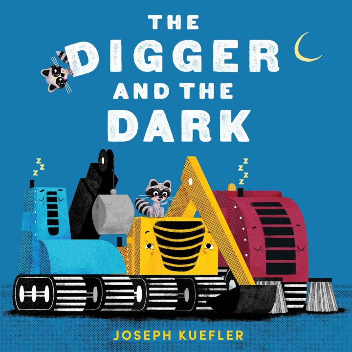 Kniha DIGGER & THE DARK KUEFLER JOSEPH