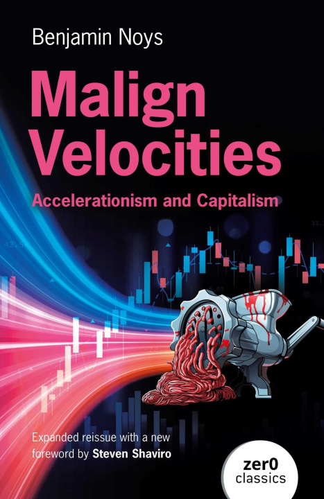 Kniha MALIGN VELOCITIES NOYS BENJAMIN