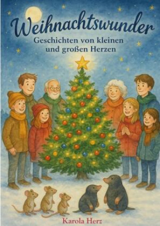 Kniha Weihnachtswunder Karola Herz